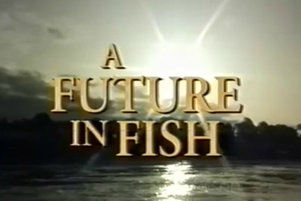 A thumbnail from the TV advert video