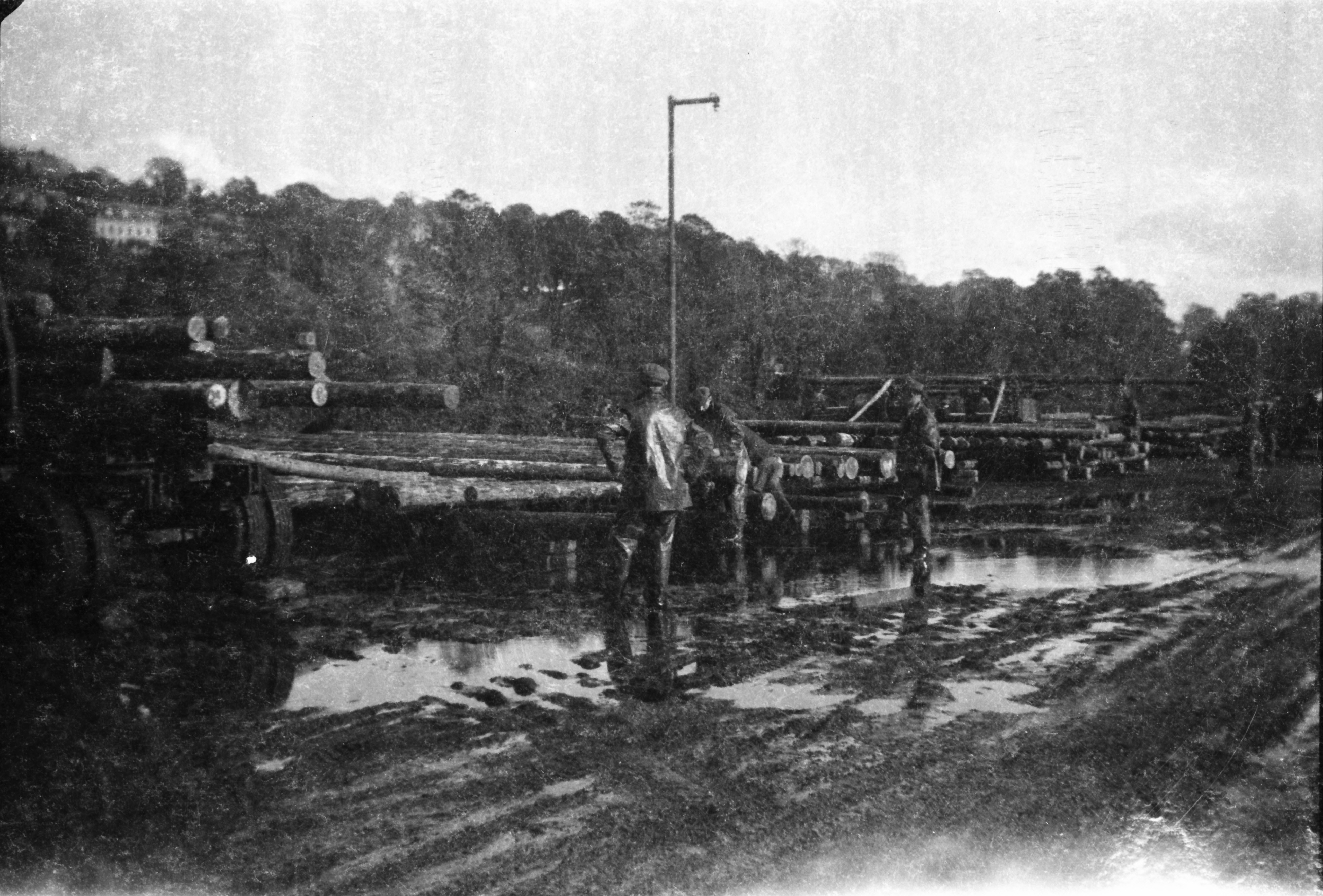Black-and-white photograph showing workers inspecting and organising electricity poles stacked on trailers and in storage at a pole depot.