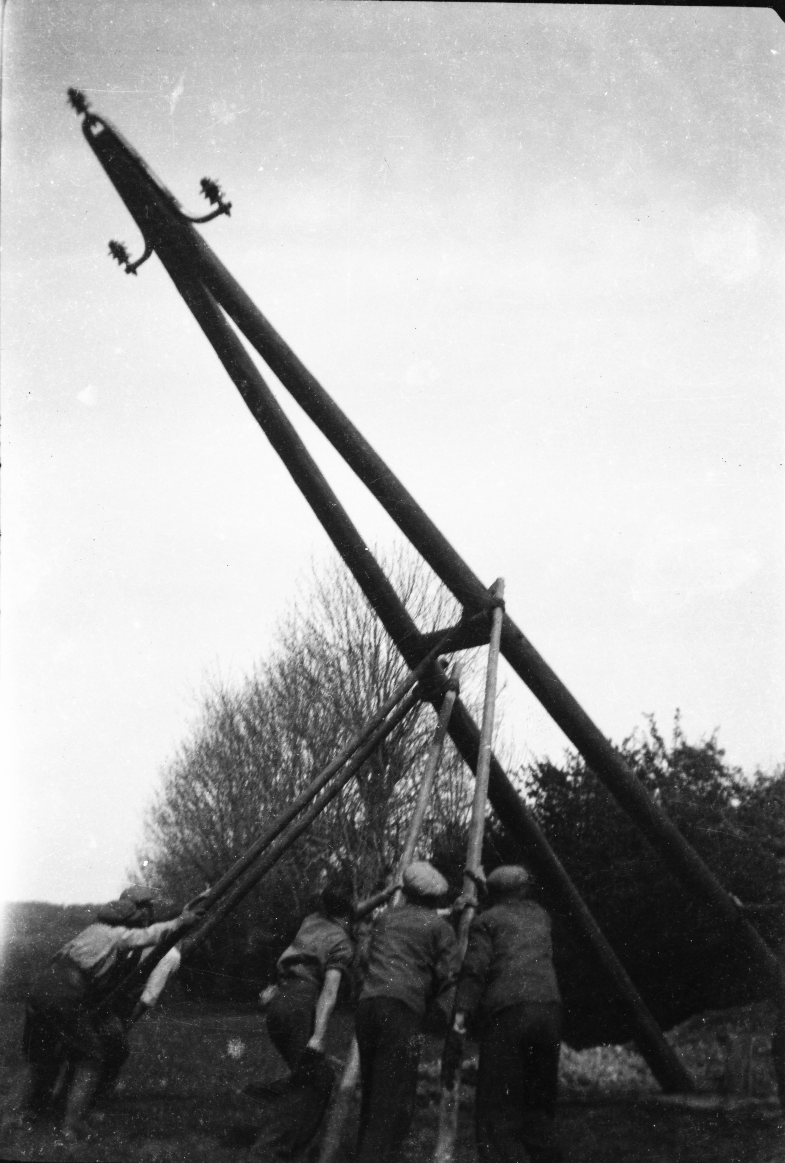 Black-and-white photograph showing workers erecting an electricity pole with guide ropes and timber braces during rural electricity network construction.