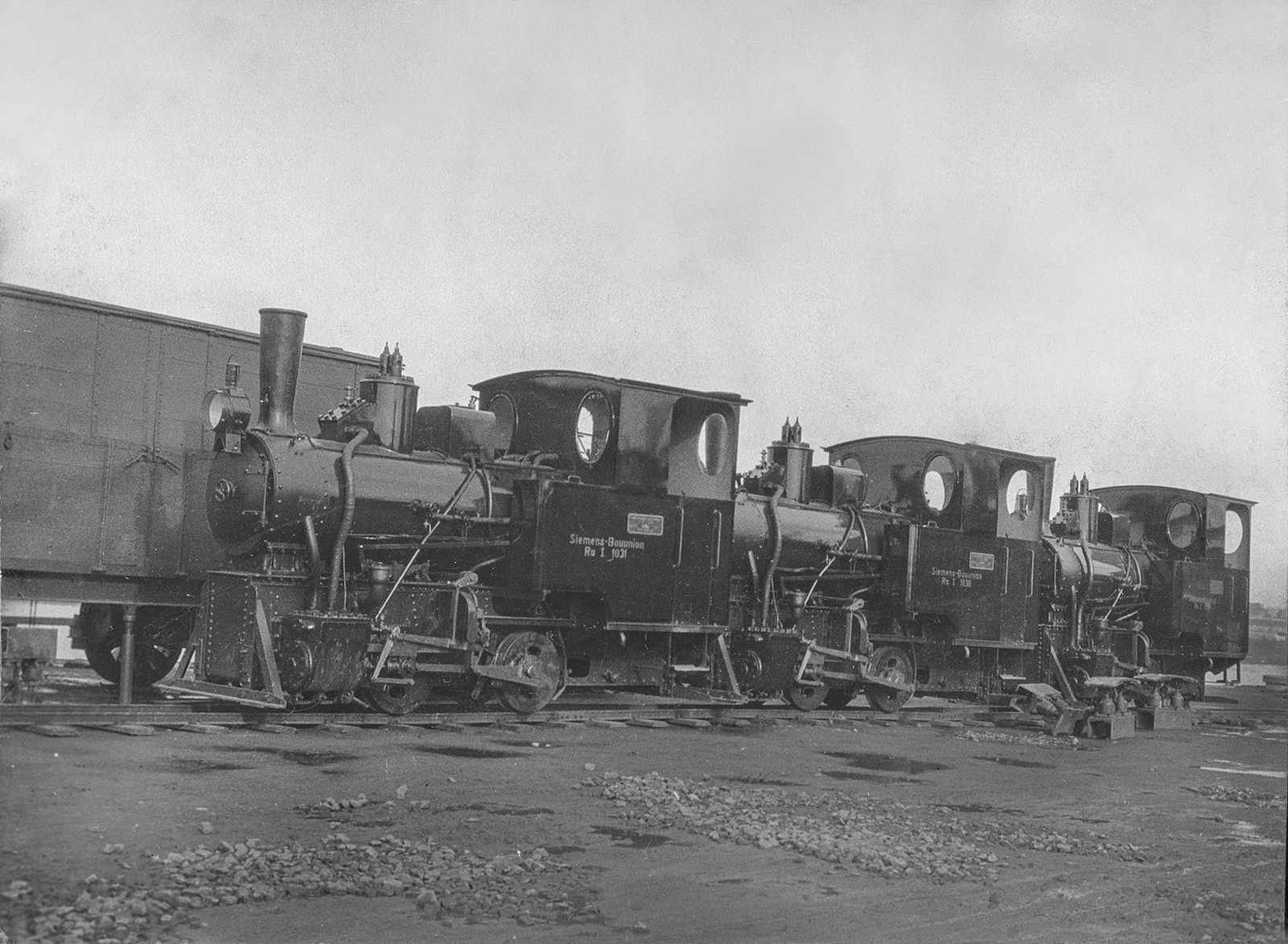 Black-and-white photograph showing three narrow-gauge steam locomotives standing side by side in a dockyard.