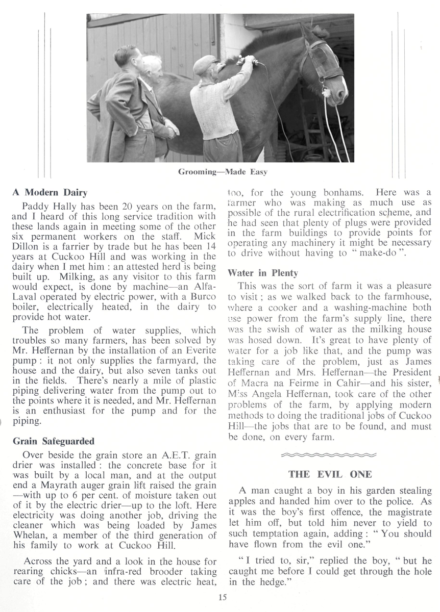 Magazine article about the use of electricity on a farm, featuring a photograph of a horse being groomed with electric clipping equipment inside a farm building.