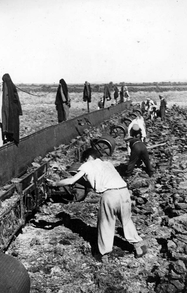 Workers harvesting turf in a bog using a mechanical peat-harvesting machine.