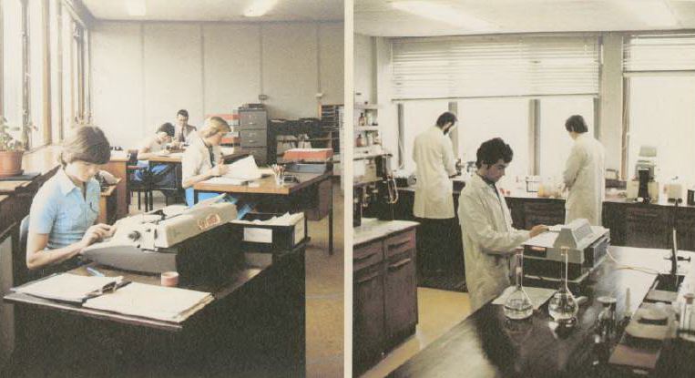 Photographs of staff working in offices and laboratories at Great Island Power Station.