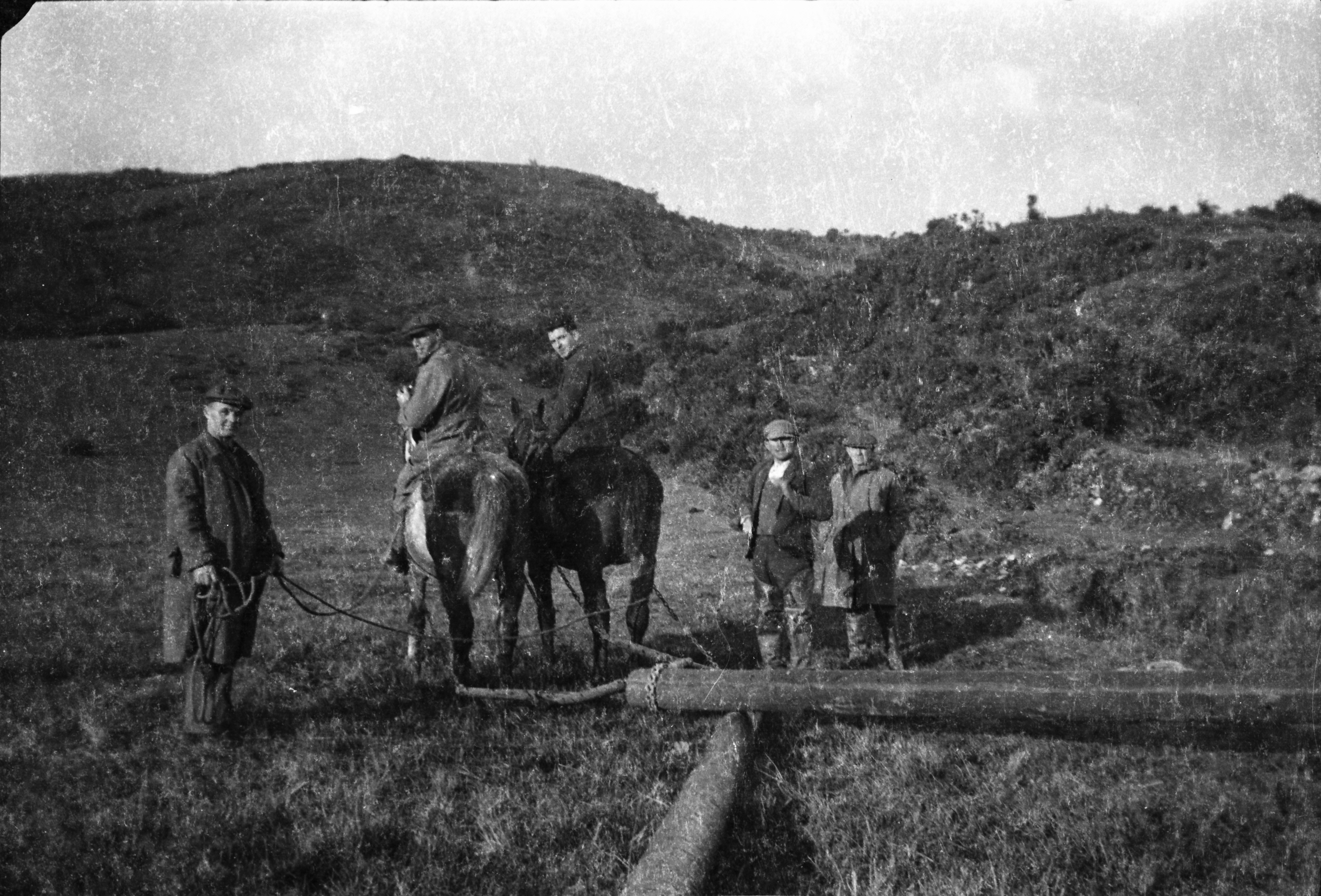 Black-and-white photograph showing workers using horses to transport electricity poles in hilly countryside during the Rural Electrification Scheme.