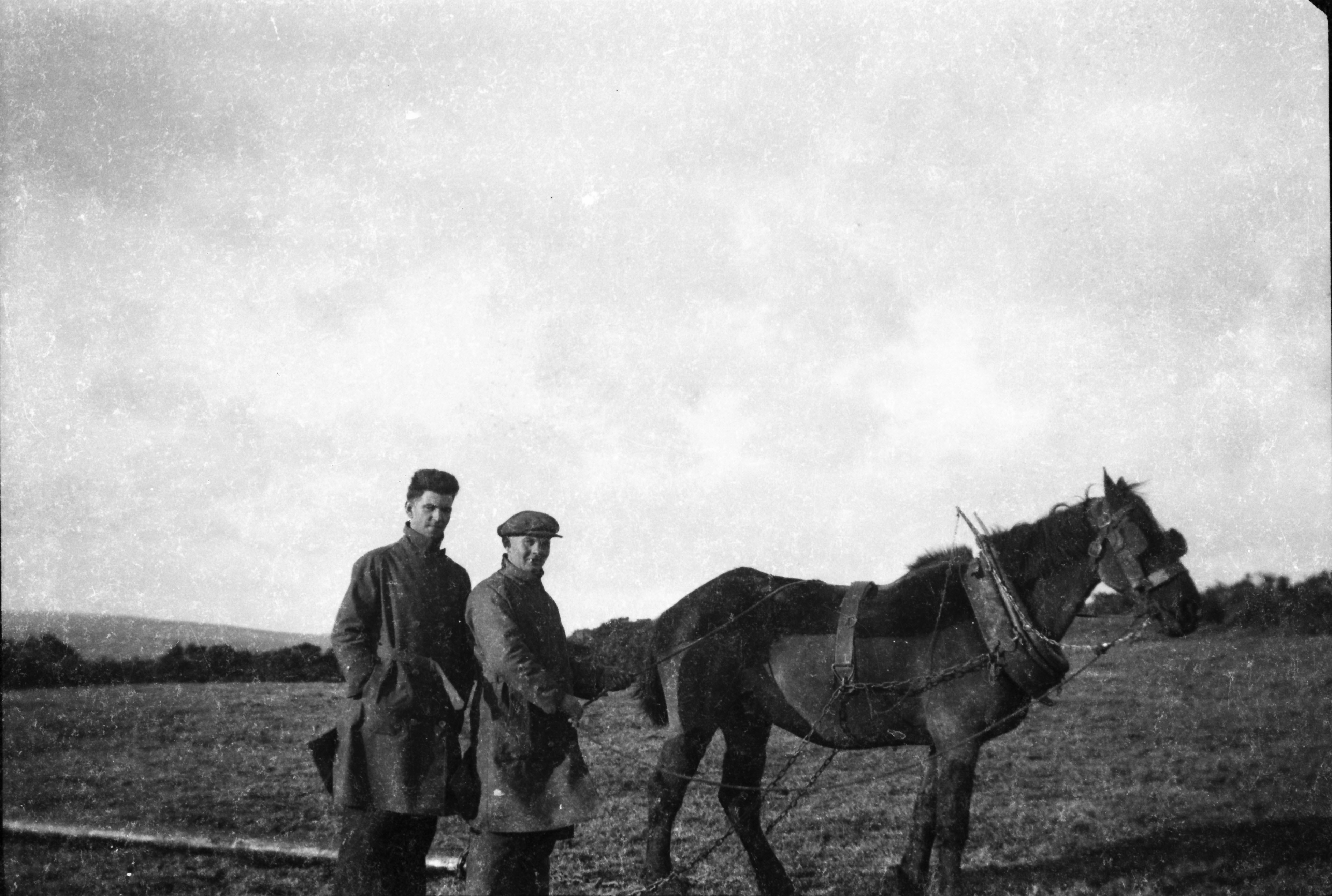 Black-and-white photograph showing Jerry Corbett, another worker and a horse used to transport electricity poles across rural farmland during the Rural Electrification Scheme.