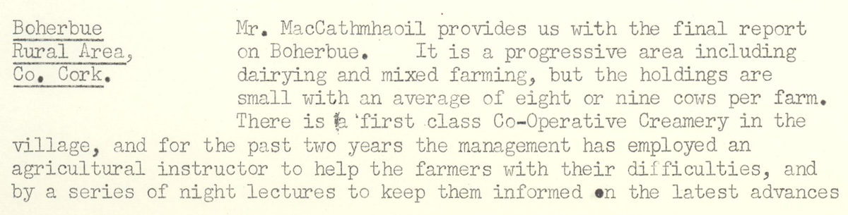 A scanned page from the ESB REO magazine about the Boherbue Rural Area.