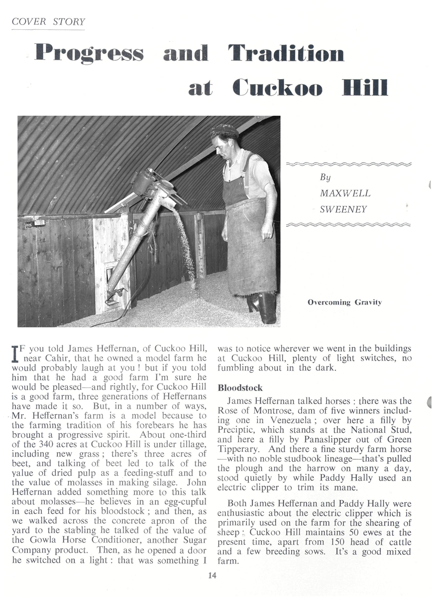 Magazine article about the use of electricity on a farm, featuring a photograph of grain being moved by electrically powered equipment inside a farm building.