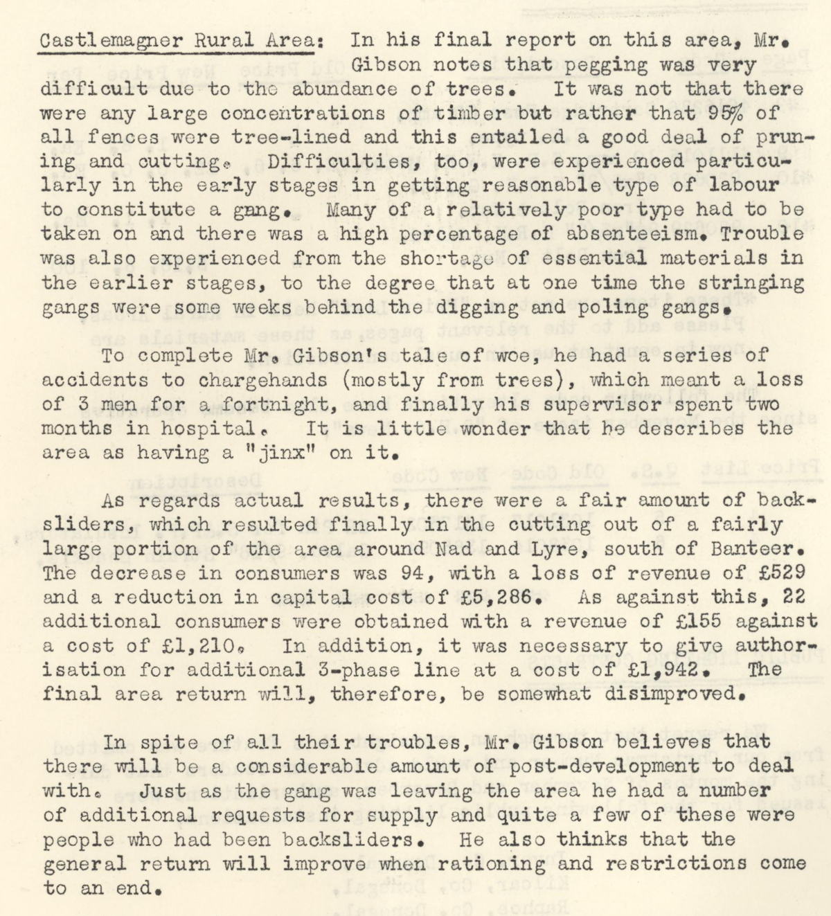 A scanned page from the ESB REO magazine about the Castlemagner Rural Area.