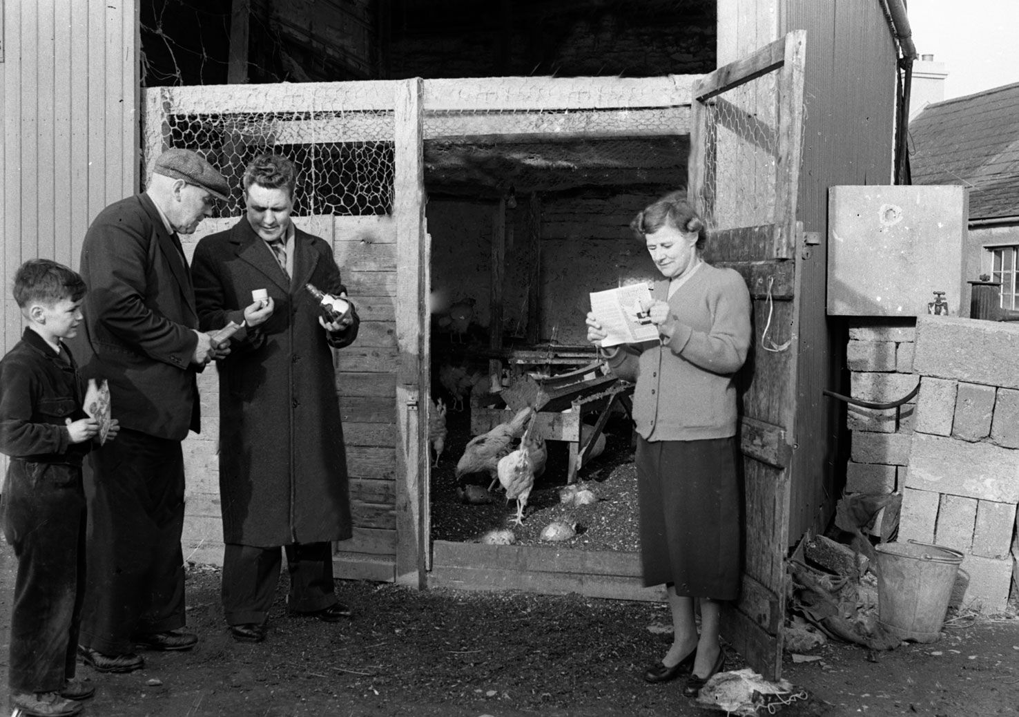 People standing around an open chicken coop