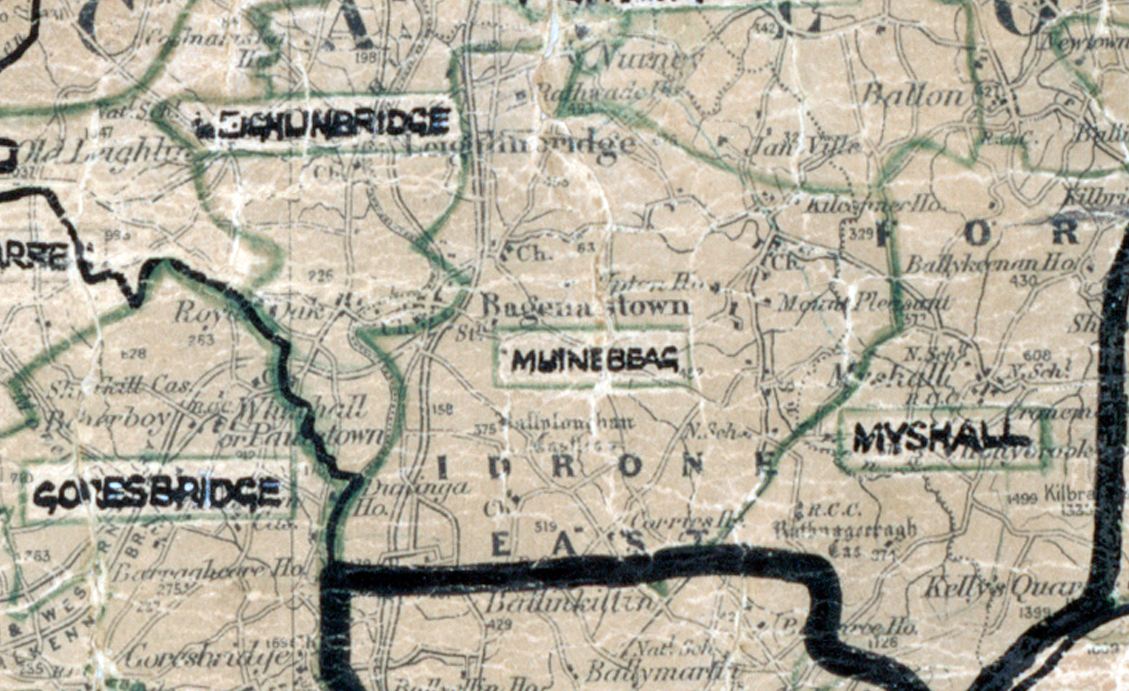 Map extract showing rural electrification areas in County Wexford, including Muinebeag, Myshall and Goresbridge.