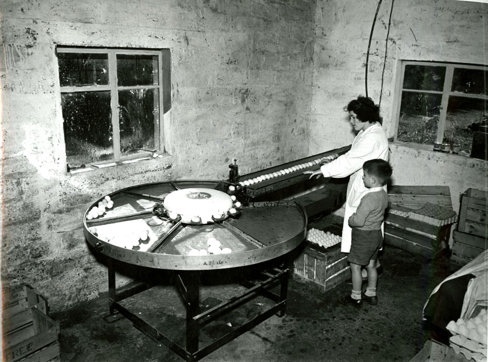 An old egg sorter