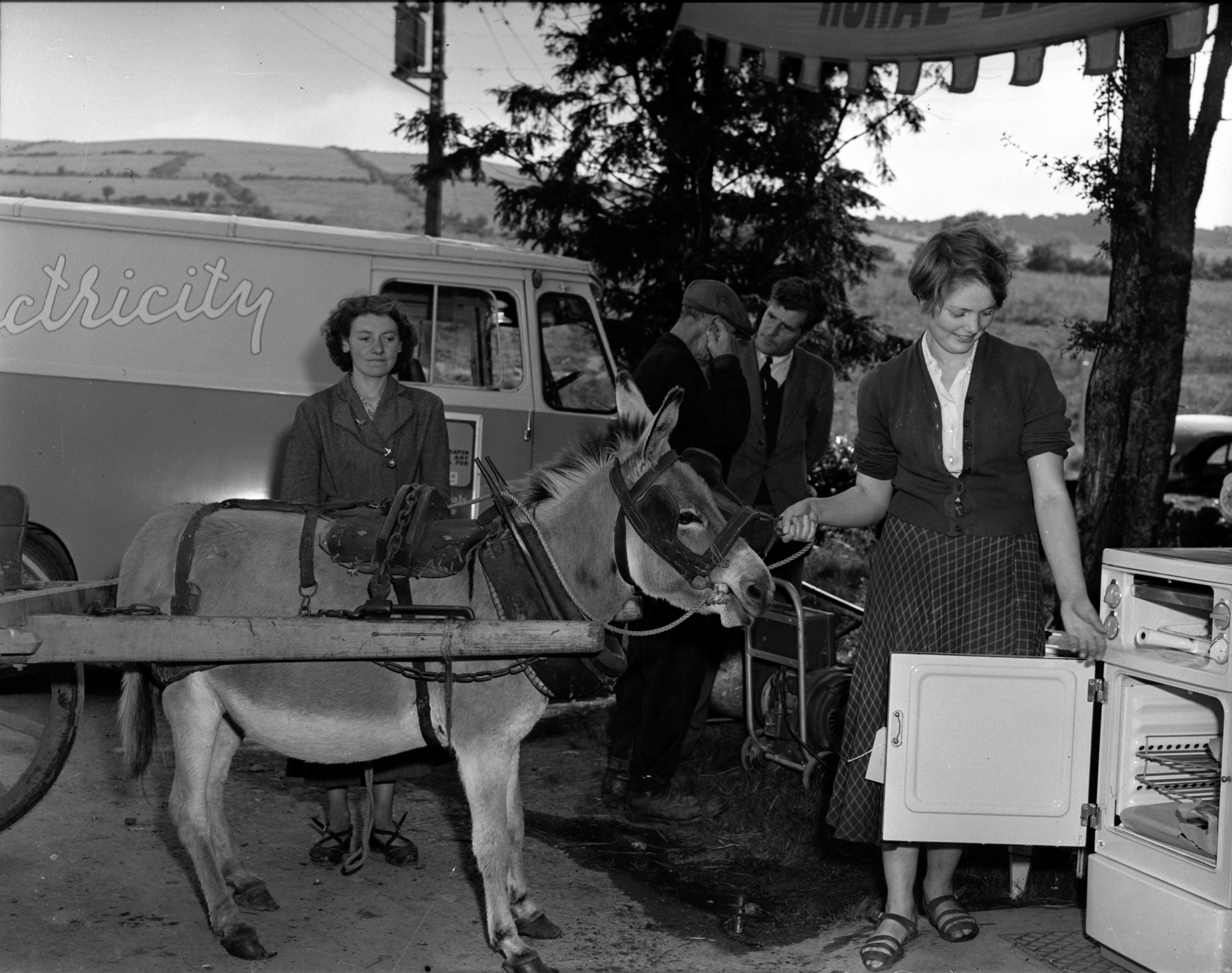 A donkey beside a woman opening a stove outside with an ESB van in the background