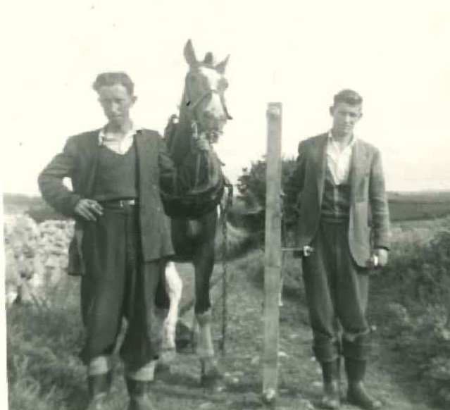 Black-and-white photograph showing two workers standing beside a horse in a rural field.
