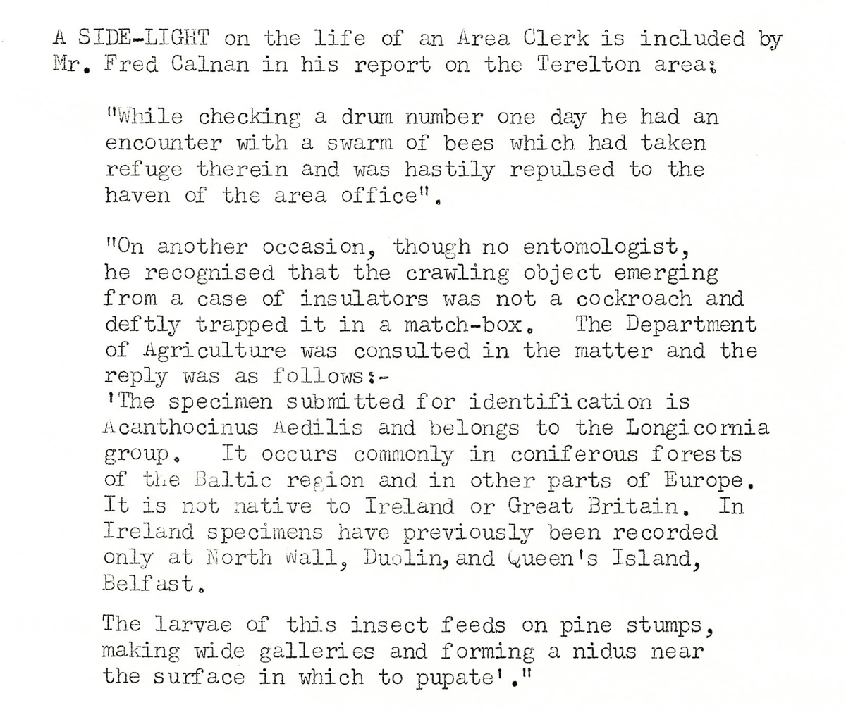 A scanned page from the ESB REO magazine about the Terelton Rural Area.